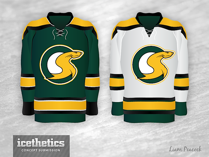 California Golden Seals NHL Apparel and Vintage-Inspired Jerseys – The  Sport Gallery