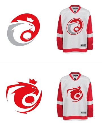 polish hockey jersey